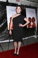LOS ANGELES  DEC 4, Adele Heather Taylor at the If Beale Street Could Talk Screening at the ArcLight Hollywood on December 4, 2018 in Los Angeles, CA