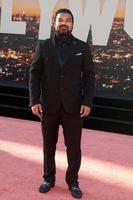 LOS ANGELES  JUL 22, Adrian Dev at the Once Upon a Time in Hollywod Premiere at the TCL Chinese Theater IMAX on July 22, 2019 in Los Angeles, CA photo