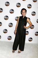 LOS ANGELES  AUG 6, Ali Wong at the ABC TCA Summer 2017 Party at the Beverly Hilton Hotel on August 6, 2017 in Beverly Hills, CA photo