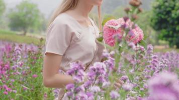 en ljus hy, långt blont hår kvinna går långsamt i ett vackert lila blomfält på sommaren, ung attraktiv flicka håller en ljusrosa bukett medan hon promenerar i blomstergården på helgen, video