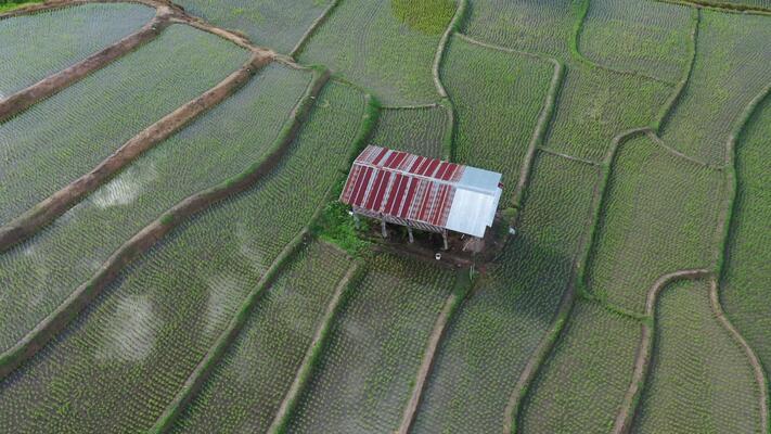 小屋影片