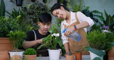 retrato de um jovem casal asiático feliz jardinagem juntos no jardim. jardineiro feminino usando um frasco de spray molhando em plantas de folhas e jardineiro masculino usando colher na planta. vegetação em casa, hobby. video