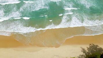 vista superior de drones de hermosas olas de mar turquesa rompiendo en la costa arenosa. toma aérea de la playa dorada que se encuentra con el agua del océano azul profundo y las olas espumosas. concepto de naturaleza, paisaje marino, relajación y verano. video