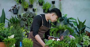 portret van een jonge Aziatische mannelijke tuinman die de kwaliteit van de plant controleert en opneemt op een laptopcomputer in de tuin. tuinieren en moderne technologie concept. video