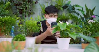 retrato de um jovem jardineiro asiático feliz com máscara facial tirando uma foto de plantas no celular enquanto está sentado no jardim. conceito de hortaliças, hobby e estilo de vida em casa. video