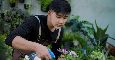 portret van een gelukkige jonge aziatische mannelijke tuinman die een spuitfles water geeft op verlofplanten en 's ochtends naar de camera kijkt in de tuin. huis groen, hobby en lifestyle concept. video