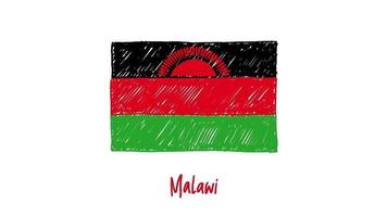 quadro branco marcador de bandeira nacional do país malawi ou animação de loop de esboço de cor de lápis video