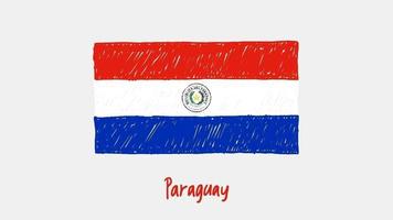 paraguai quadro branco marcador de bandeira nacional do país ou animação de loop de esboço de cor de lápis