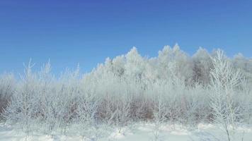 panorama d'hiver avec des congères. arrière-plan vidéo 4k video