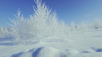 winterpanorama met sneeuwbanken. 4k video-achtergrond