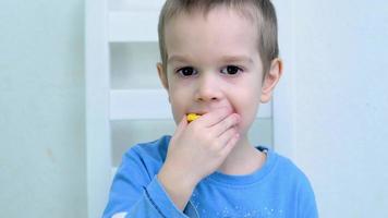 Five years old boy sitting on a white chair and eating sweet cookies in a kitchen. video