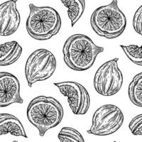 Figs seamless vector pattern. Ripe garden fruits whole, half, slice. Sketch of summer dessert with juicy pulp, seeds. Monochrome outline of vegetarian plant. Hand drawn botanical background