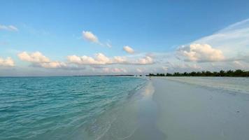 oceano e spiaggia sabbiosa video