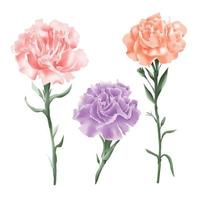 Set of red roses watercolor style vector illustration