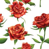 Red roses watercolor style vector illustration seamless background on white