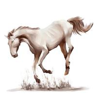 caballo corriendo estilo acuarela en blanco y negro sobre fondo blanco vector