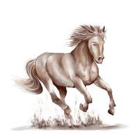 Running horse black and white watercolor style on white background vector