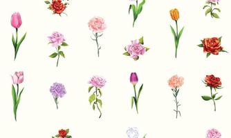 Set of various flowers watercolor style vector illustration  seamless background on white