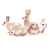 baby rabbits different posing on white background watercolor illustration cute style vector