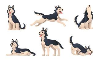 Set of cute siberian husky in various poses illustration vector