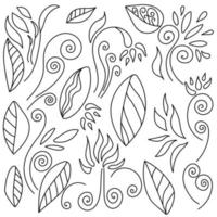 Vector set of doodle flowers and leaves for design and creativity