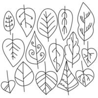 Set of outline leaves with linear patterns and curls, coloring page on autumn theme, fall doodle vector