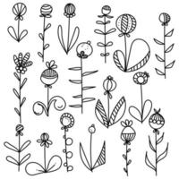 Doodle set of flowers with leaves and rounded berries and striped elements to create frames, design invitations or scrapbooks vector