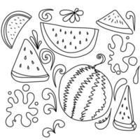 Lindo doodle sandía conjunto ilustración vectorial vector