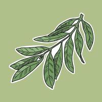 Olive tree branch with veins, line, natural vector botanical illustration, decorative element, sticker