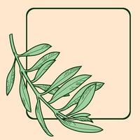 Olive tree branch without berries, vector illustration on beige background with green leaves with a square text frame