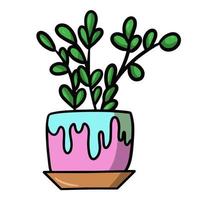 Cartoon indoor plant in a ceramic pot, tropical flower with small leaves, vector illustration on a white background