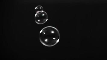 Soap bubble drop or Shampoo bubbles floating like flying in the air photo