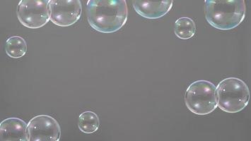 Soap bubble drop or Shampoo bubbles floating like flying in the air photo