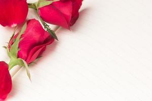 Red rose on notebook background photo