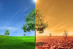 landscape with dry earth, Meadow Global warming concept. photo