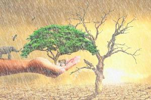It rains in drought-stricken areas. concept of environmental and climate change