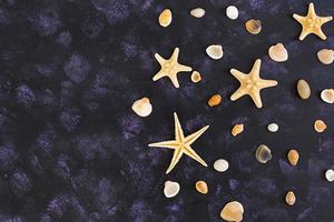 conchas marinas y estrellas de mar sobre fondo oscuro. vista superior foto