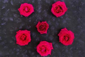Pink roses on dark background. Top view