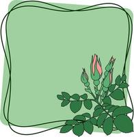 Rose branch, pink rosehip with buds and green leaves on a light green background, vector illustration, square frame with an empty space for text