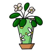 Indoor plant in a green pot with a pattern, saintpaulia flower with white flowers, cartoon vector illustration on a white background