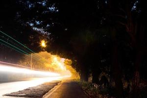 Car headlights run through tree tunnels. photo