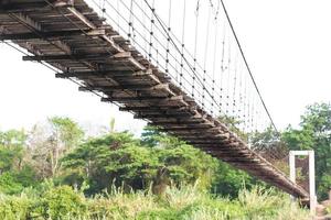 Under the suspension bridge with trees. photo