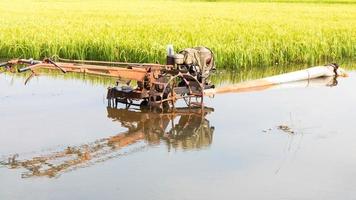 reflejos del agua de los cultivadores. foto