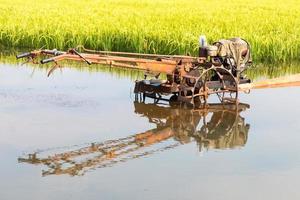 reflejos del agua de los cultivadores. foto