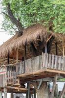 cabaña de madera con techo de vetiver cubierta de grandes árboles. foto