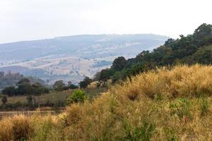 las montañas son deforestación. foto