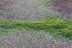 Grass-covered ground cracked. photo