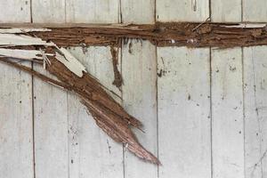 Wall weathered wood rot. photo