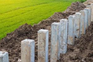 postes de hormigón en el suelo y campos de arroz. foto