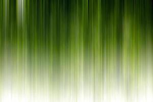 Abstract background, vertical blur green. photo